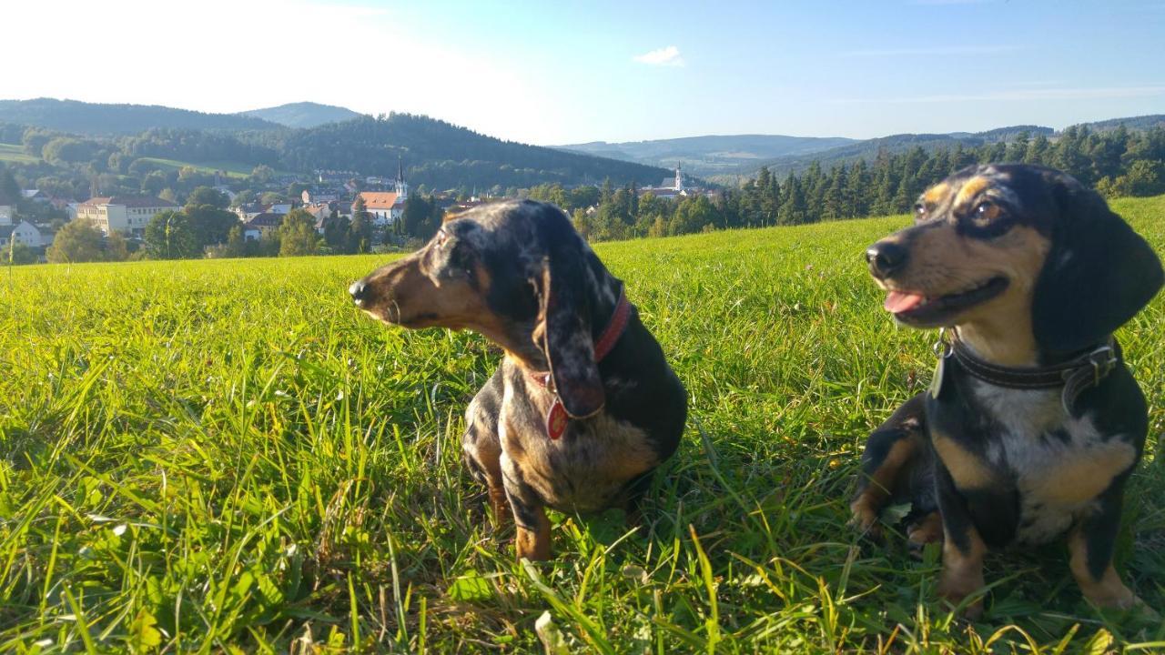 U Mikesu Appartement Vyšší Brod Buitenkant foto